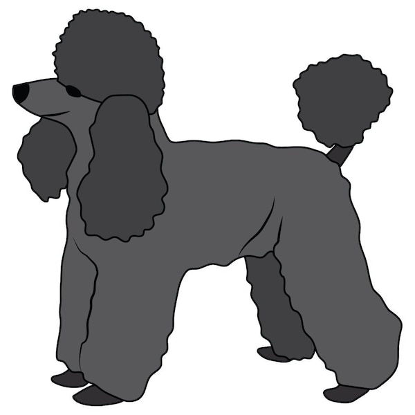 Signmission Toy Poodle Dog Decal, Dog Lover Decor Vinyl Sticker D-12-Toy Poodle - main
